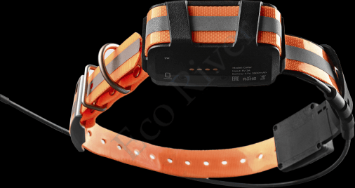Artelv Tracker 2W