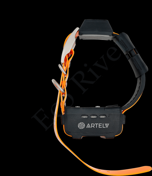 GPS ошейник ARTELV COLLAR 0.5W