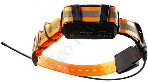 GPS ошейник ARTELV COLLAR 2W