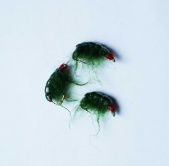 Мухомормыш зеленый