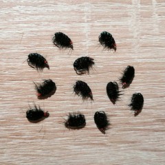 Мухомормыш чёрный