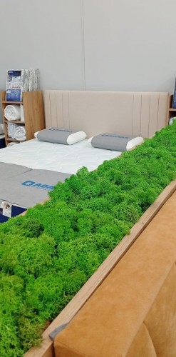 Coin Кровать с подъемным механизмом 160*200см