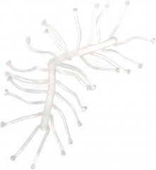 СТОПОР для бойлев универсальный большой 35 мм (под бойли 30 мм)