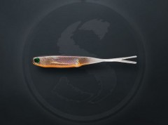 Приманка силик. Sprut Kiiro 3D 50мм/0.8г/TRG 5шт