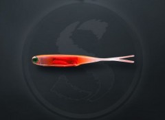 Приманка силик. Sprut Kiiro 3D 50мм/0.8г/TWO 5шт