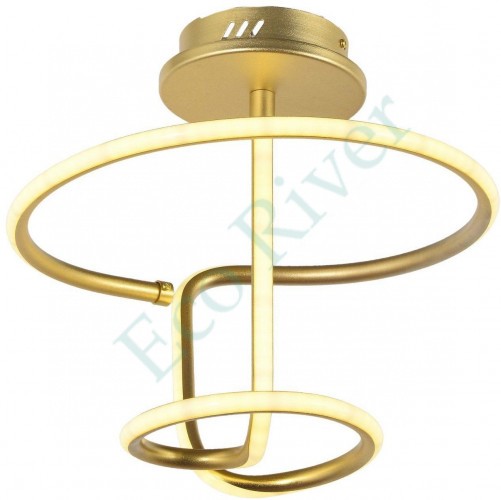 Потолочный светодиодный светильник Arti Lampadari Angelo L 1.2.35.05 G