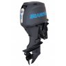 Двигатель лодочный Seanovo, 4-хтактный EFI, SNEF60FVEL-T