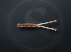Приманка силик. Sprut Kanto 40 0.3г/CMS 10шт
