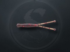 Приманка силик. Sprut Kanto 40 0.3г/HLT 10шт